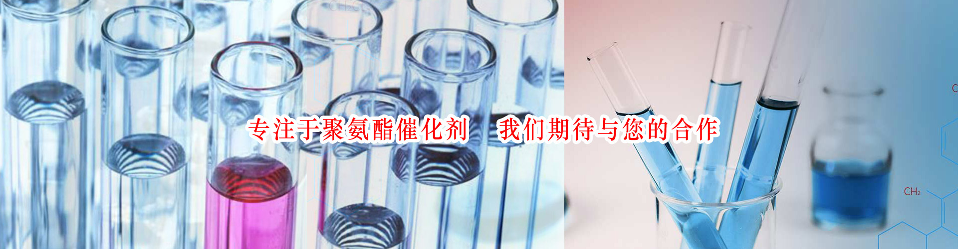 幻燈片廣告二